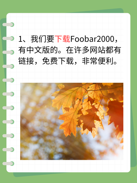 foobar中文版苹果手机版footballmanager手机版-第1张图片-太平洋在线下载