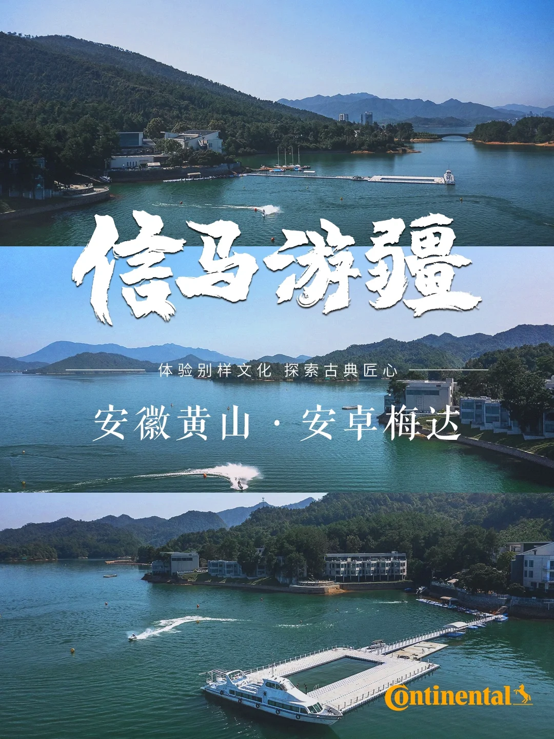 绝信安卓版安卓版的安小信在哪下载-第2张图片-亚星国际官网