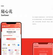 随心花青春版苹果版随心花app接单平台-第2张图片-亚星国际官网
