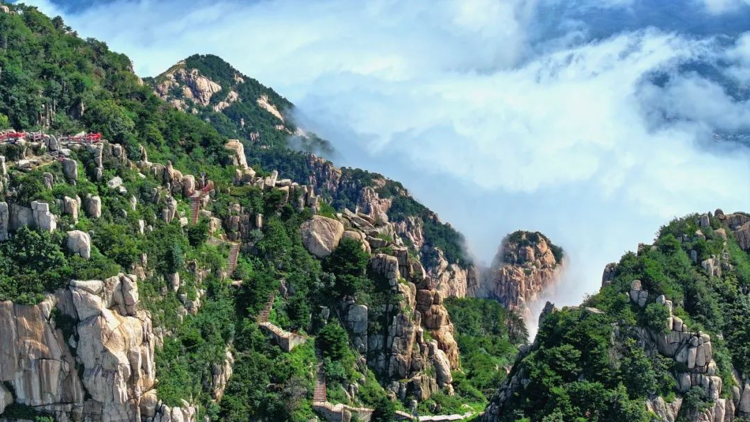 泰山微信客户端掌上泰山区客户端-第2张图片-亚星国际官网